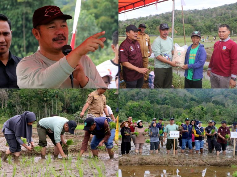 Tanam Padi Serentak di Talang Kemulun, Bupati Monadi: Komitmen Nyata Wujudkan Swasembada Pangan