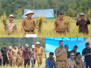 Bupati Monadi Panen Raya di Talang Kemulun, Produktivitas Petani Meningkat Dua Kali Lipat
