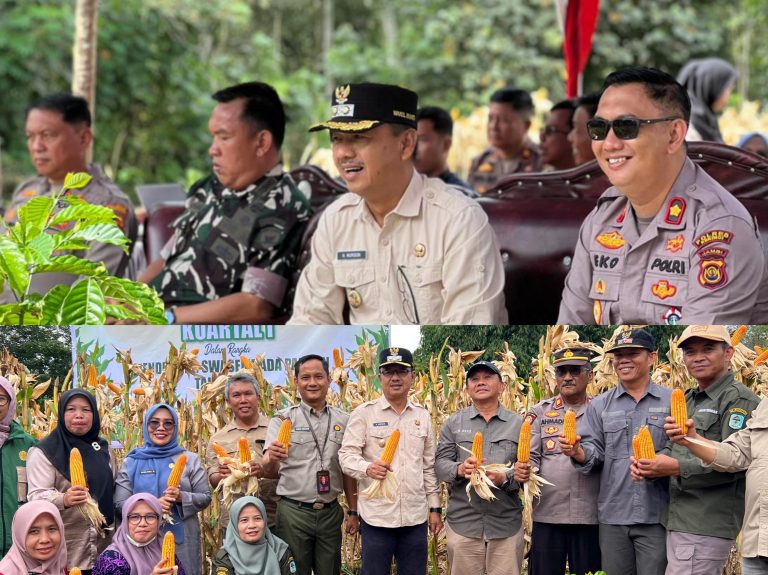 Sinergi Polri – Pemkab Dukung Swasembada Pangan, Wabup Murison Hadiri Panen Raya Jagung Serentak Polres Kerinci