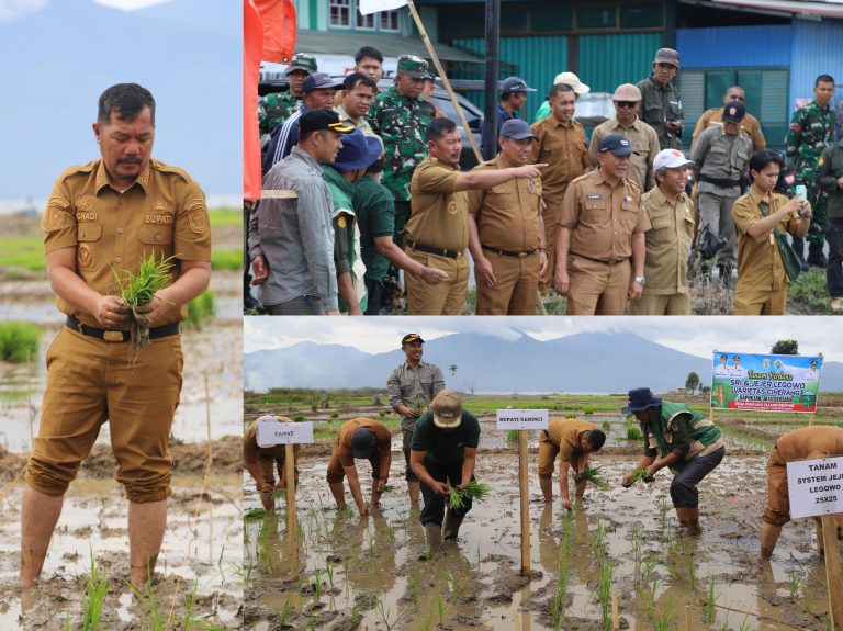 Hidupkan Lahan Tidur, Bupati Monadi Pimpin Tanam Padi dengan Metode SRI Jajar Legowo di Pendung Talang Genting