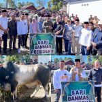 Bupati Monadi dan Wabup Murison Serahkan Sapi Bantuan Presiden RI untuk Masyarakat Gunung Raya
