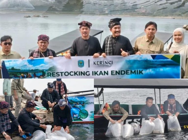 Tak Hanya Budaya, Festival Kerinci 2026 Hadirkan Aksi Nyata Pelestarian Ekosistem Danau Melalui Restocking Ikan Semah